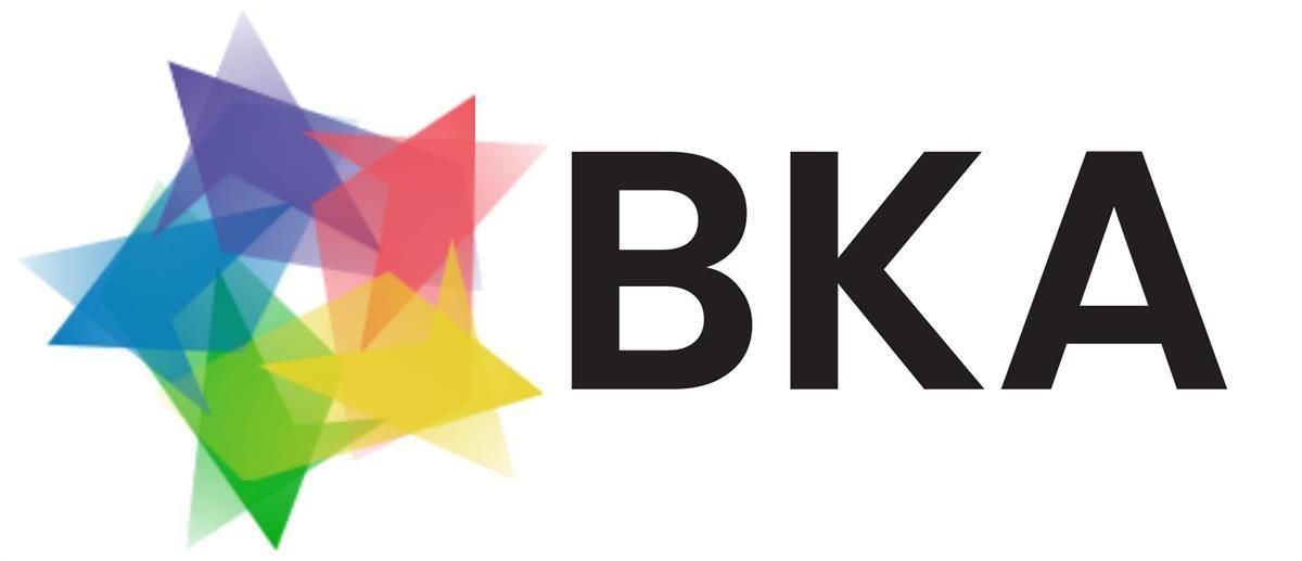 BKA International School logo